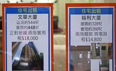 未曾見(jiàn)過(guò)香港人居，方知尋常生活貴