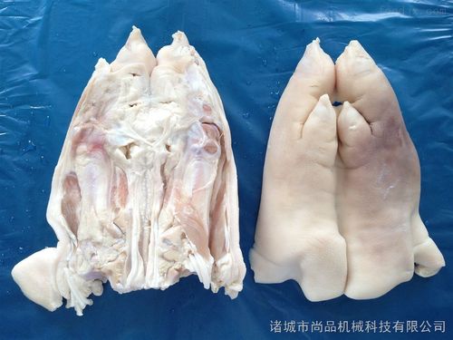 豬蹄劈半機(jī)價(jià)格與供應(yīng)信息全解析——中國(guó)食品機(jī)械設(shè)備網(wǎng)助您把握商機(jī)